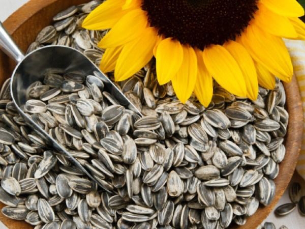 sunflower_seeds_idiva