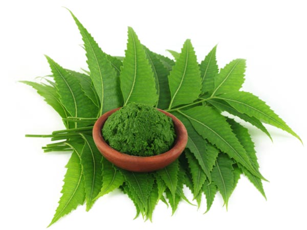 Neem