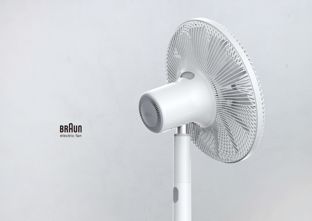 braun_fan_11