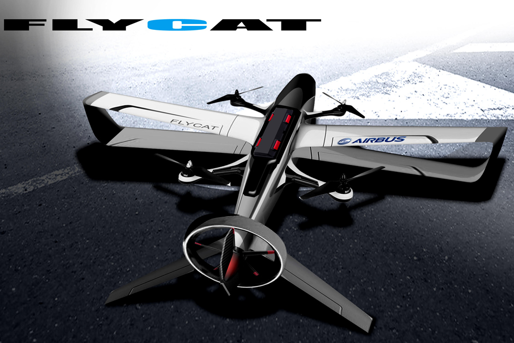 flycat_02