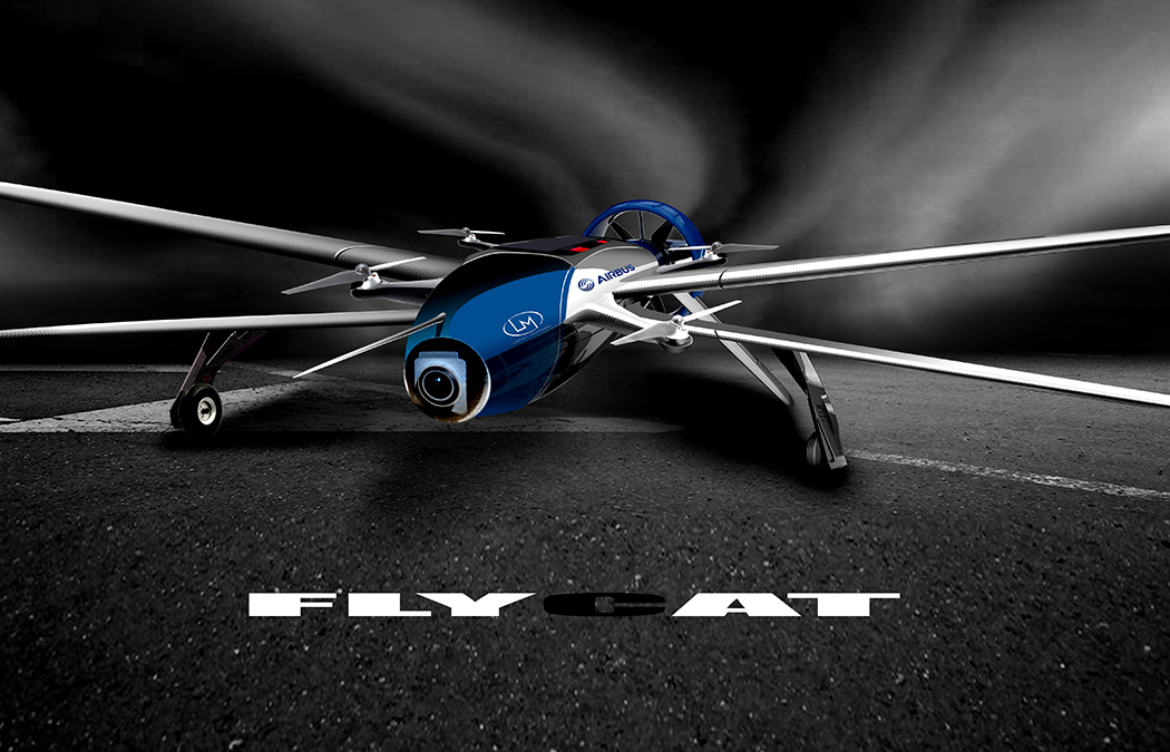 flycat_03