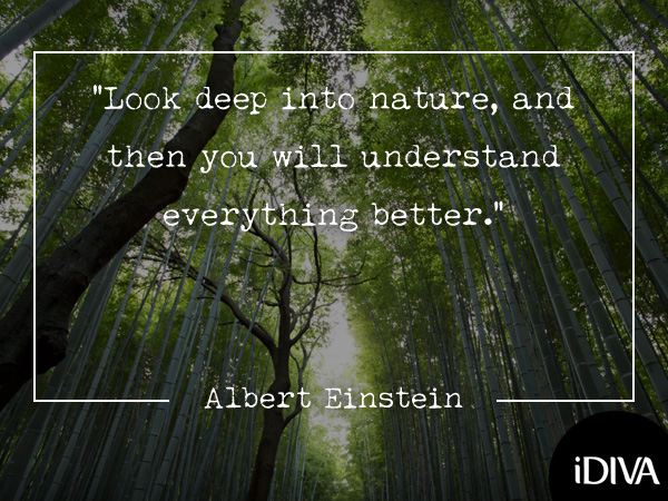 Quotes That Reconnect You With Nature