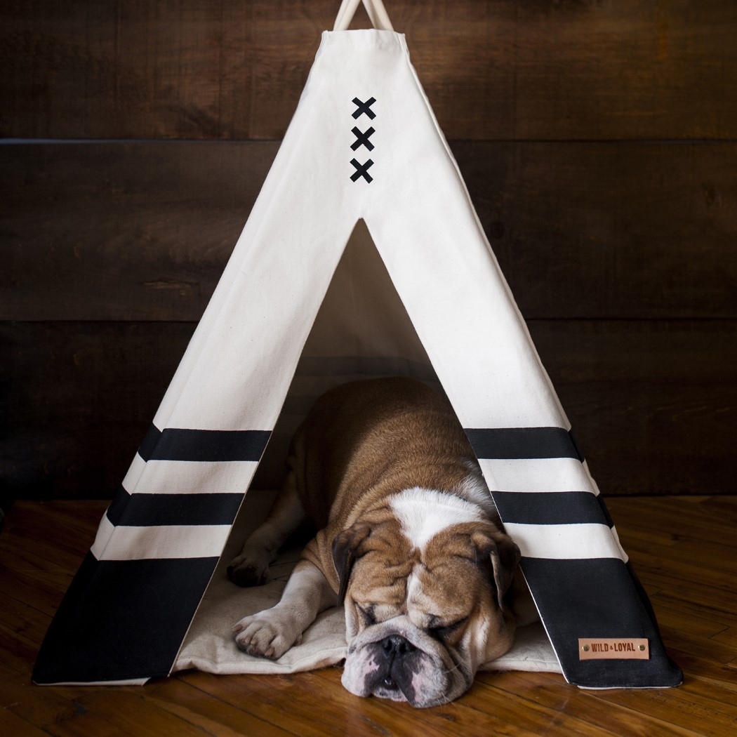 pet_teepee_4