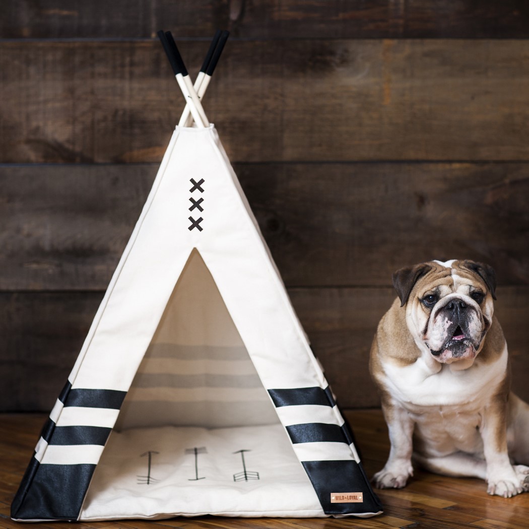 pet_teepee_5