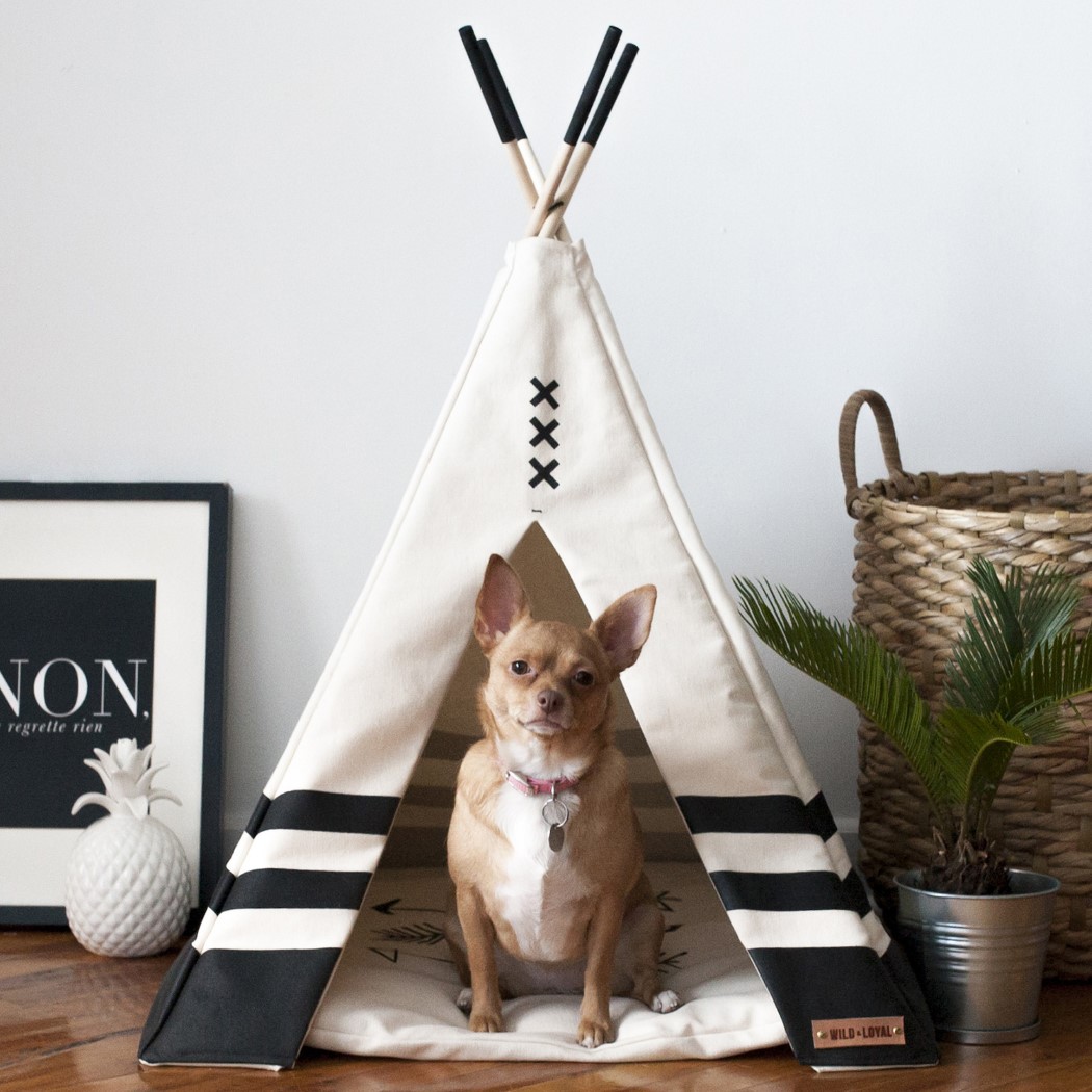 pet_teepee_7