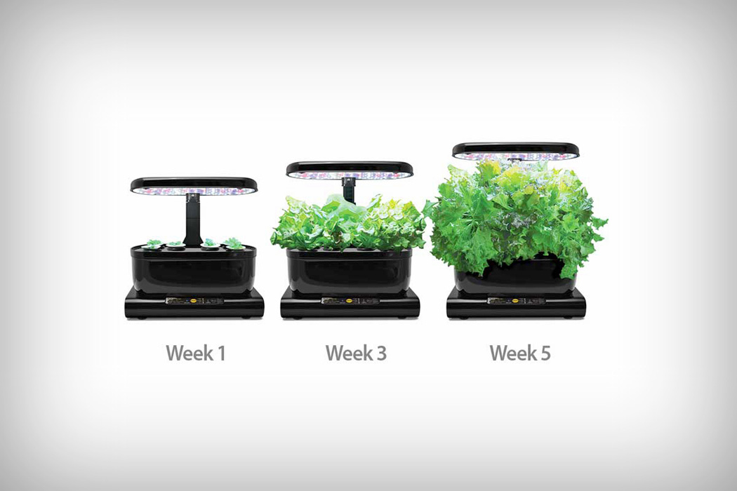 aerogarden_harvest_touch_03