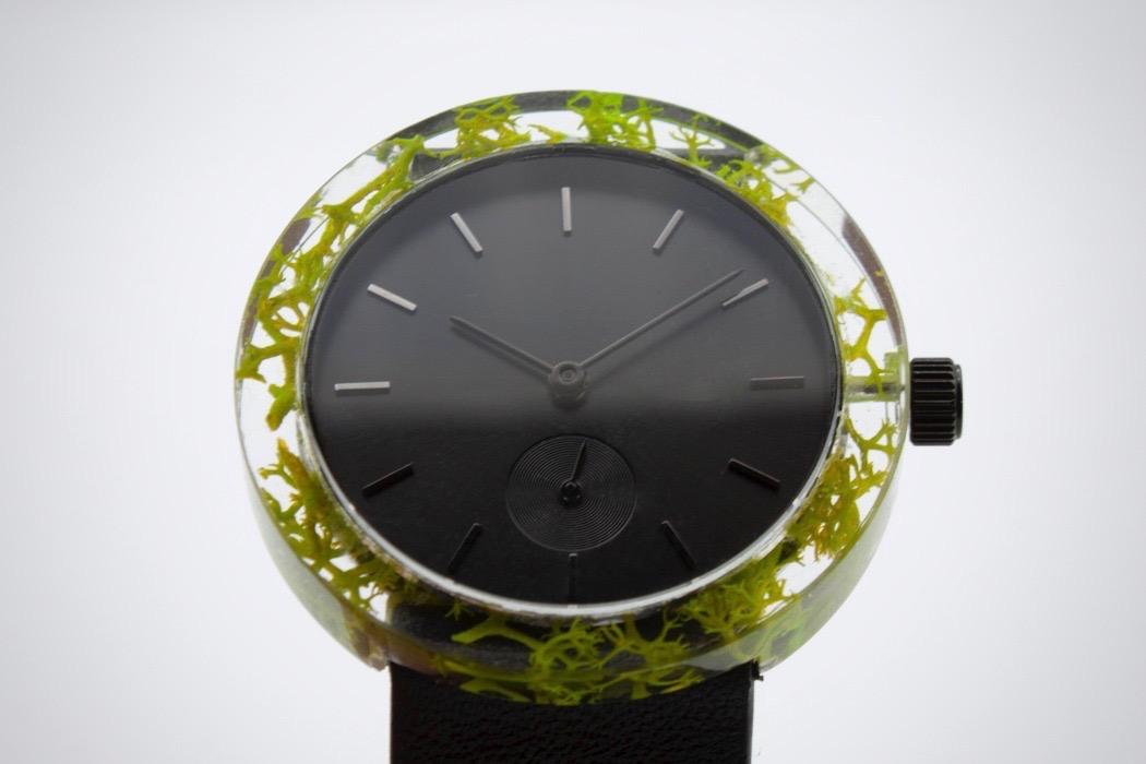 botanist_watch_11