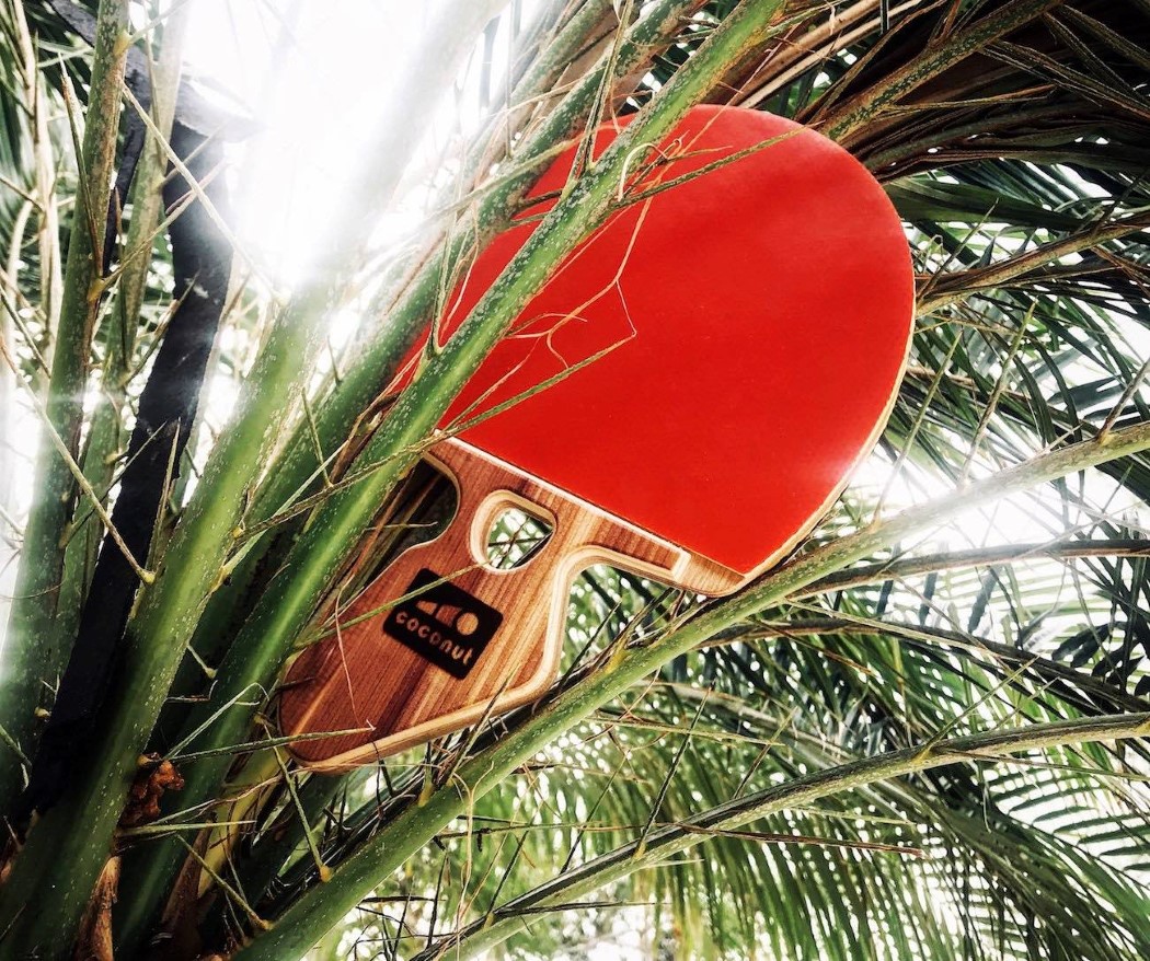 coconut_paddle_v2_3