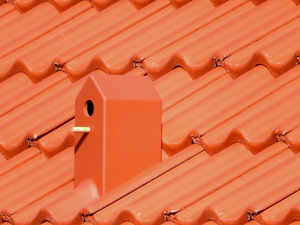 birdhouse_tile_2