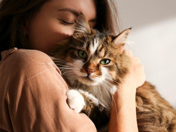 Girl with cat 