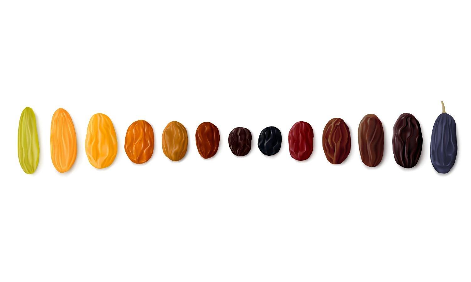 Variety of Raisins