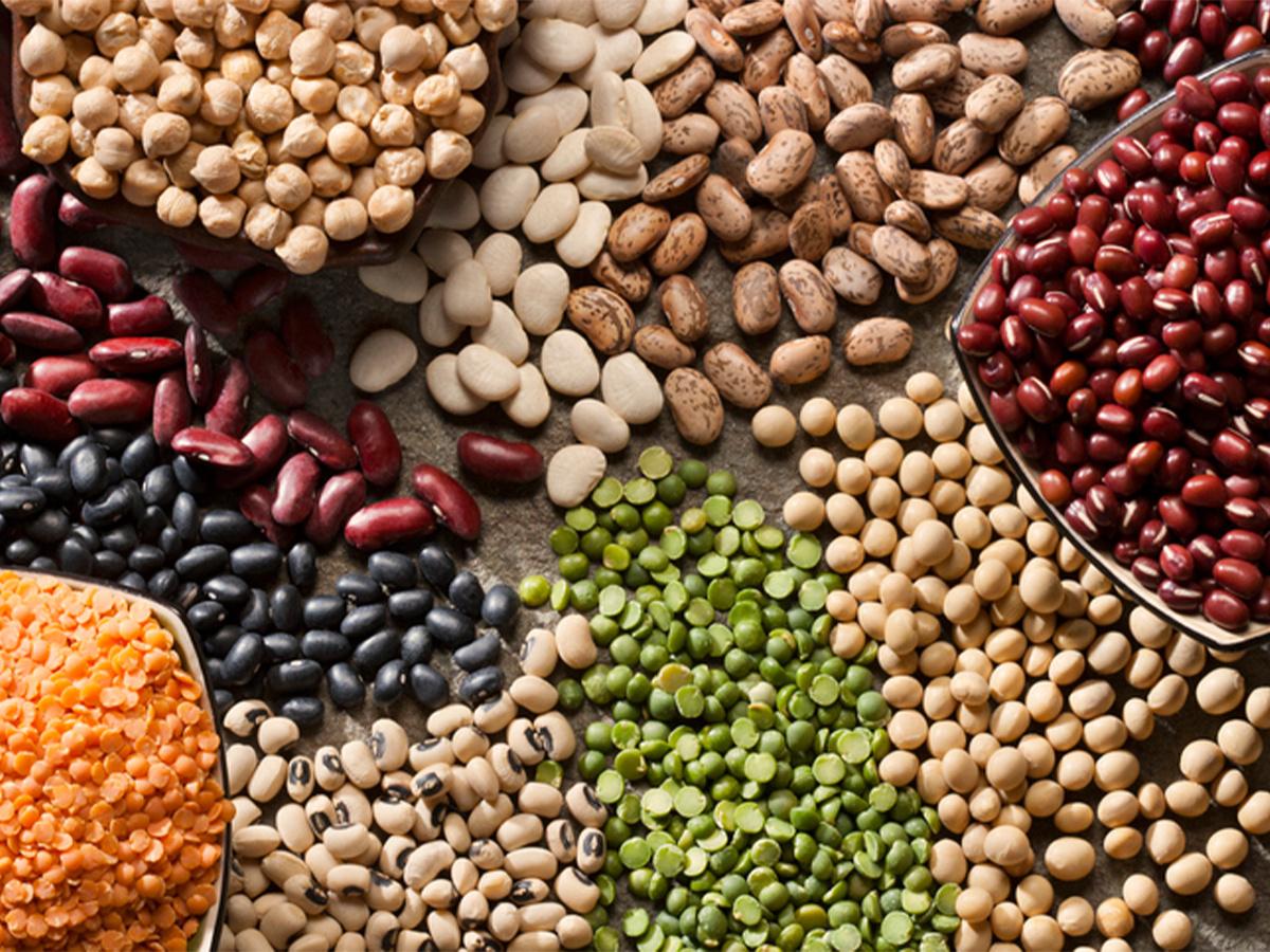 Consuming legumes can boost meals with nutrient-dense foods