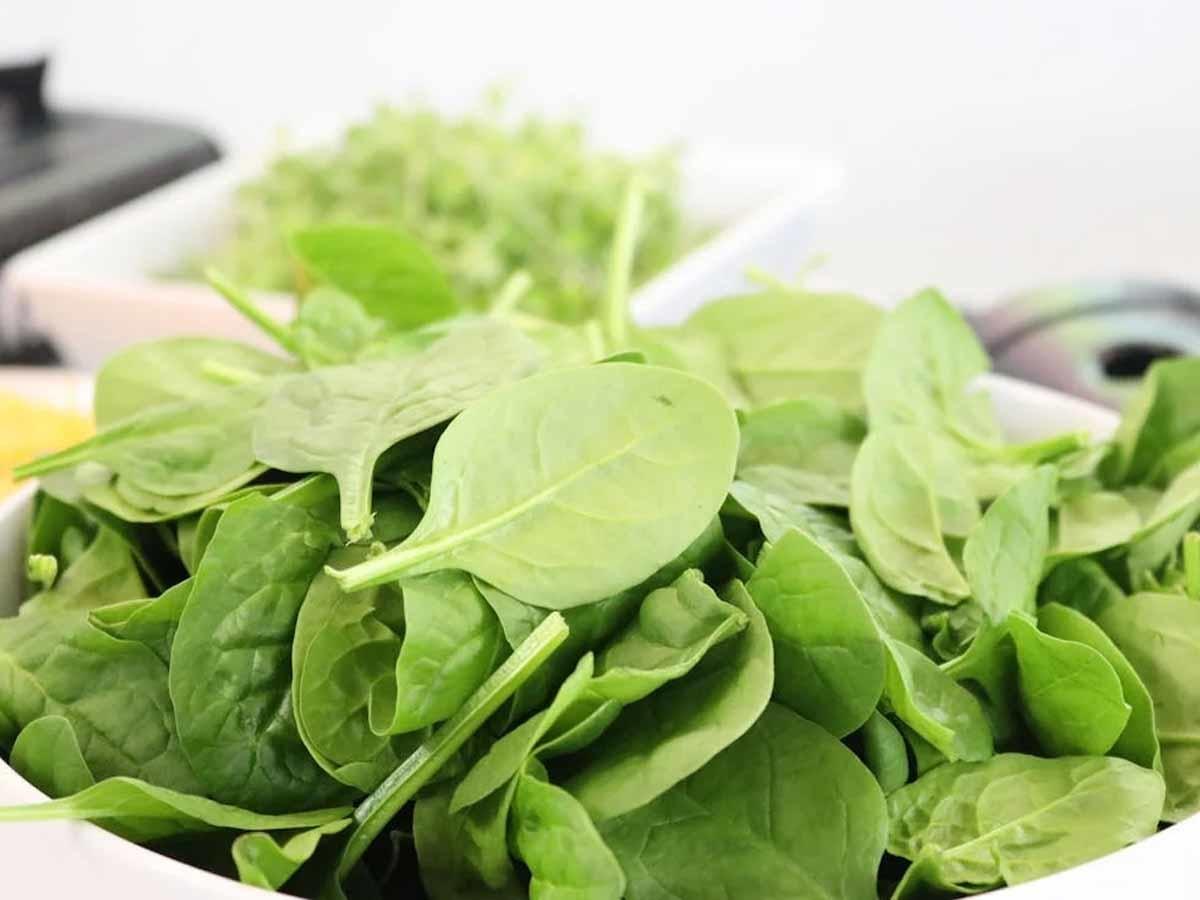 Spinach is an essential food item for fitness,